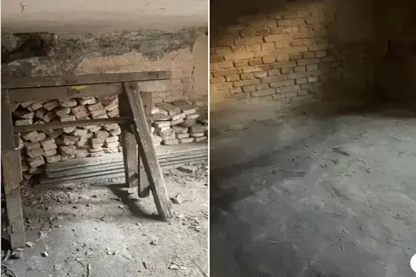 Entrümpelung in der Umgebung von Wien - Wir sind für Sie da Danubia Entrümpelungsservice in der Umgebung von Wien